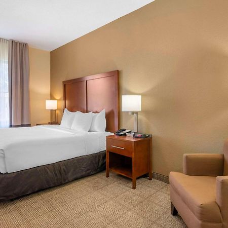 Comfort Inn & Suites Northeast - Gateway Сент-Питерсберг Экстерьер фото