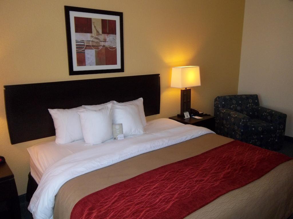 Comfort Inn & Suites Northeast - Gateway Сент-Питерсберг Экстерьер фото