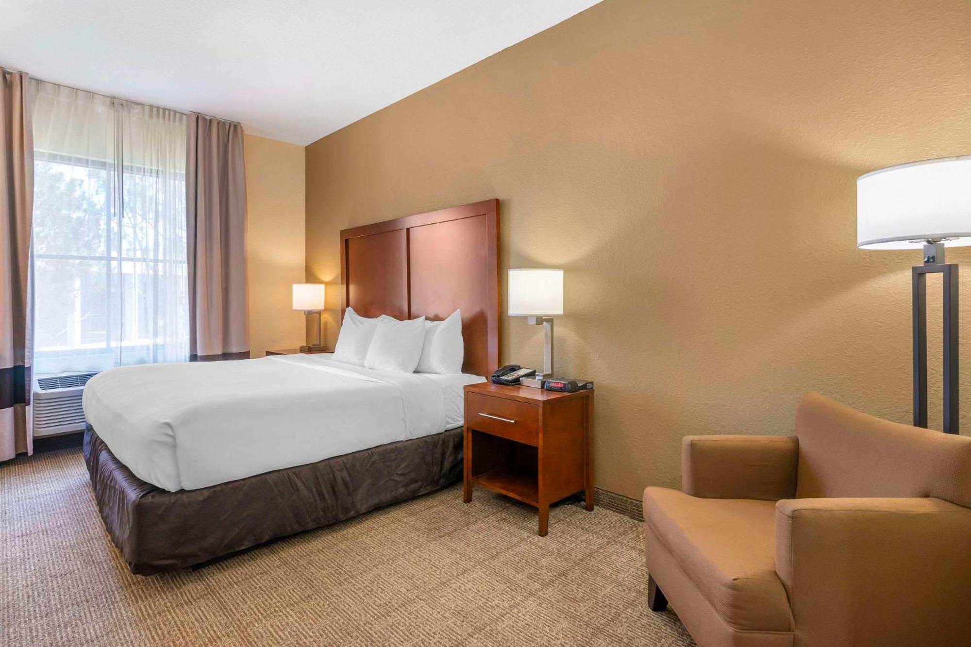 Comfort Inn & Suites Northeast - Gateway Сент-Питерсберг Экстерьер фото